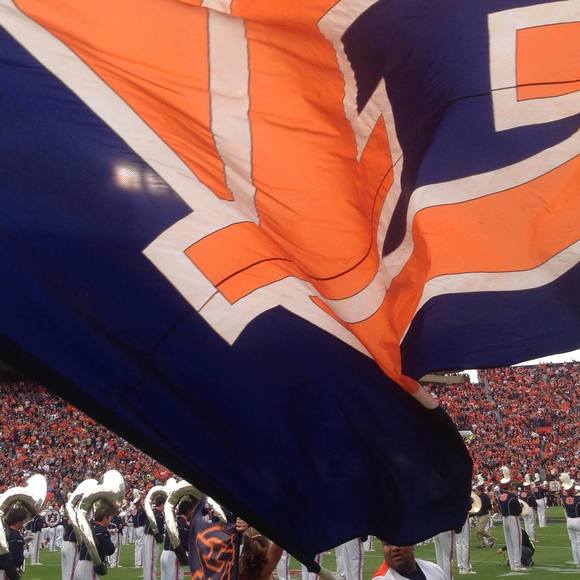 Meet your Posher, Chris - Picture 1 of 1